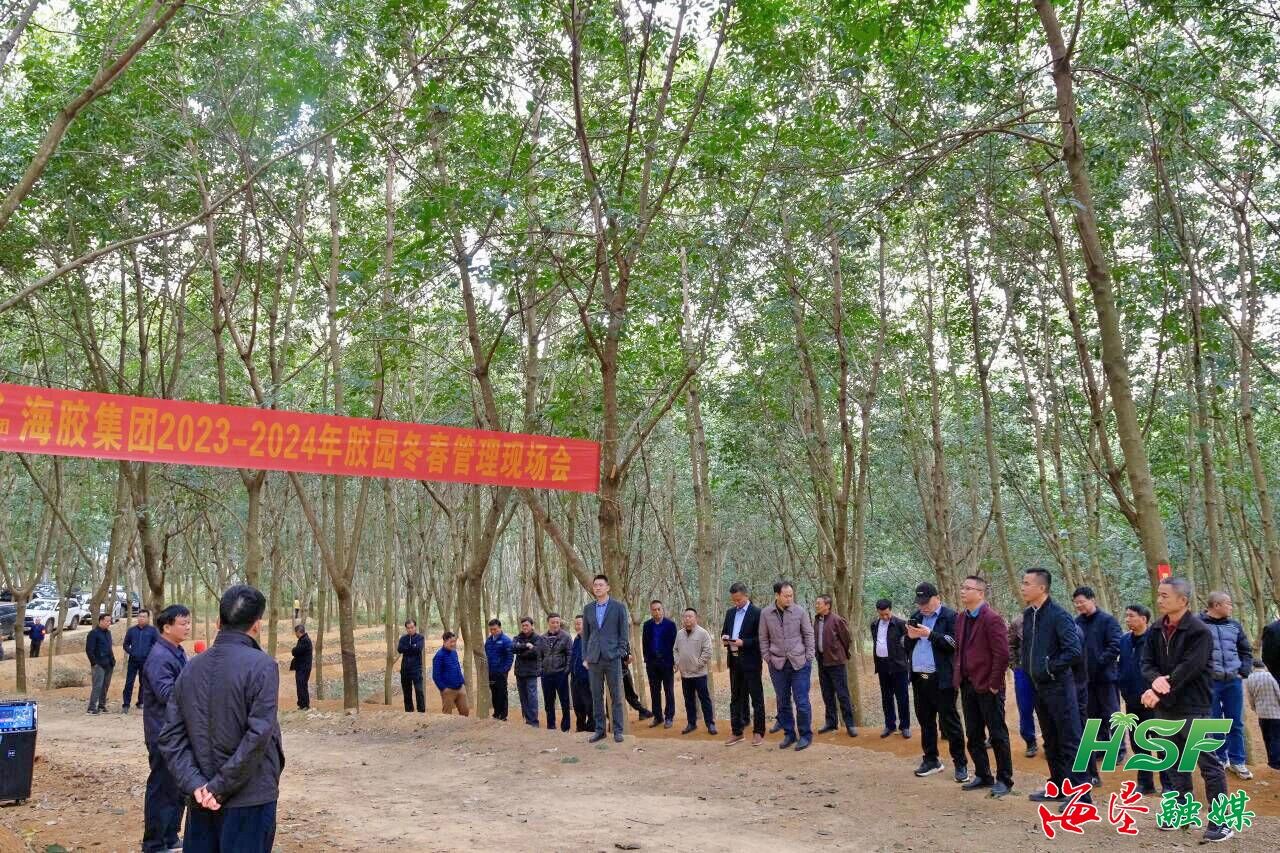 1703725771024071070.jpg 1703725771024071070.jpg