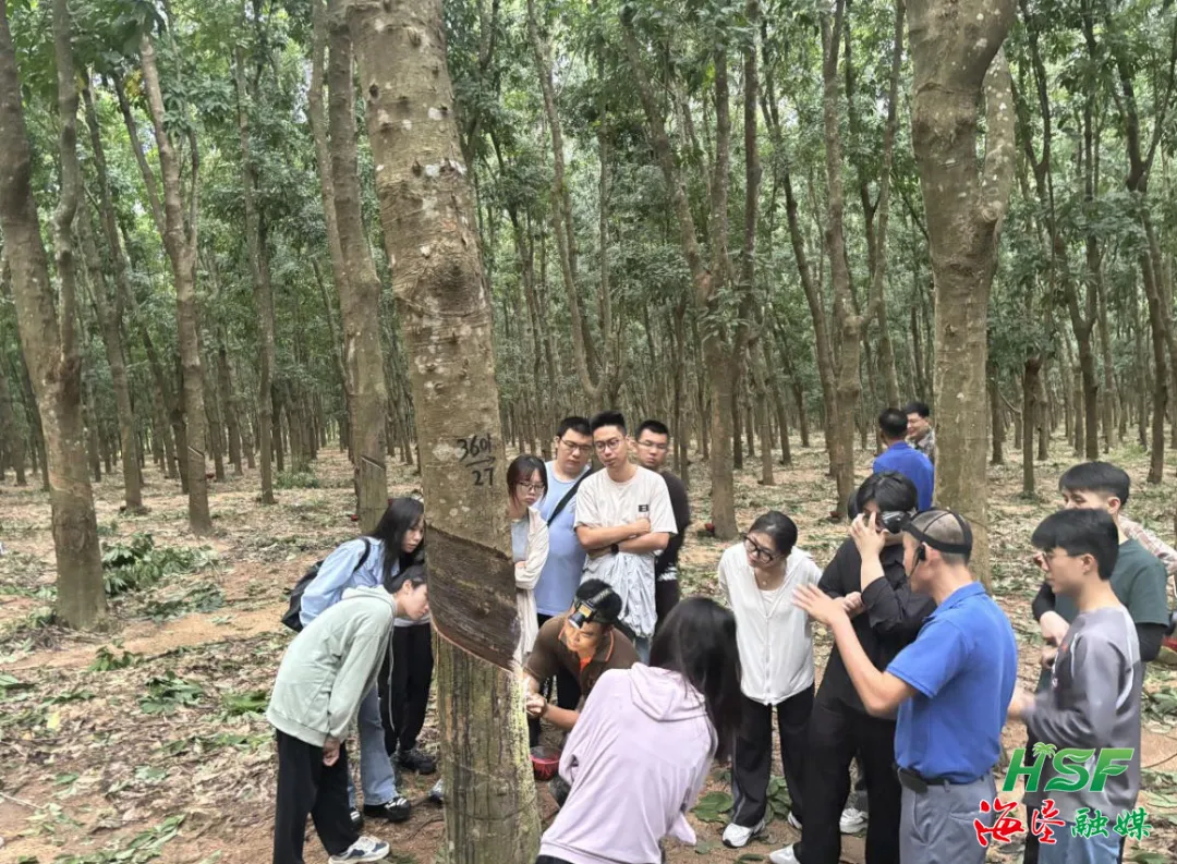 1722911138061001953.jpg 6.jpg