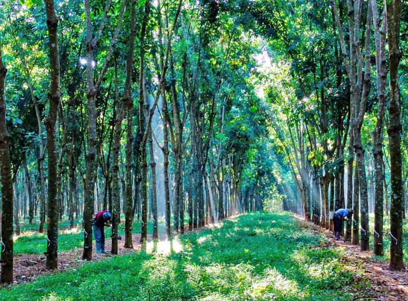 1722991525262036738.jpg 1722991525262036738.jpg