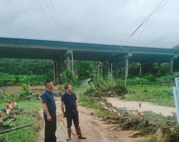 1726059575433059040.jpg 1726059575433059040.jpg