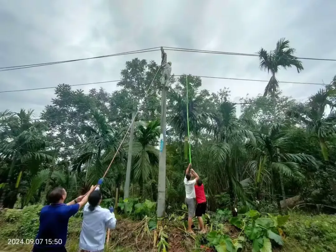 1726282256833054329.jpg 1726282256833054329.jpg