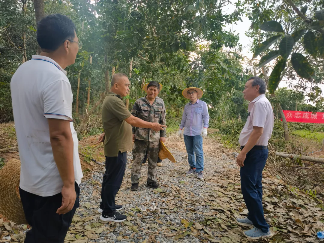 1726648559122014801.jpg 1726648559122014801.jpg