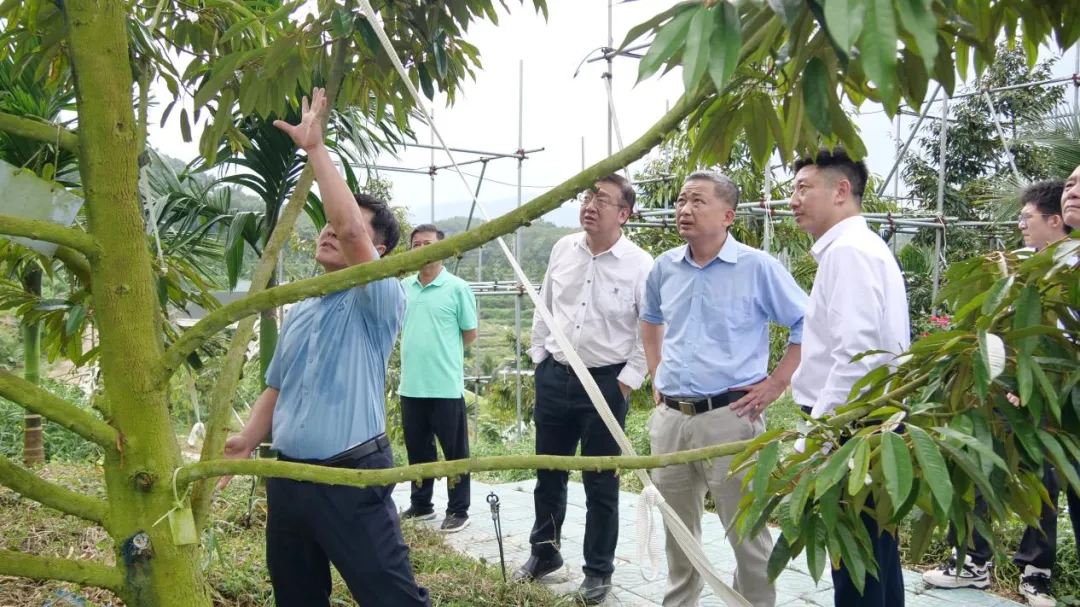 1731029869466054441.jpg 1731029869466054441.jpg