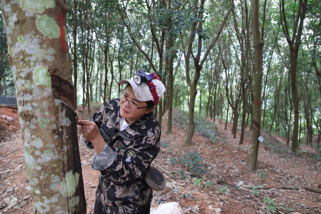 1735781414226081392.jpg 1735781414226081392.jpg