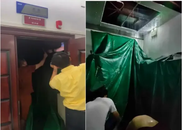 1741880068525090184.jpg 1741880068525090184.jpg