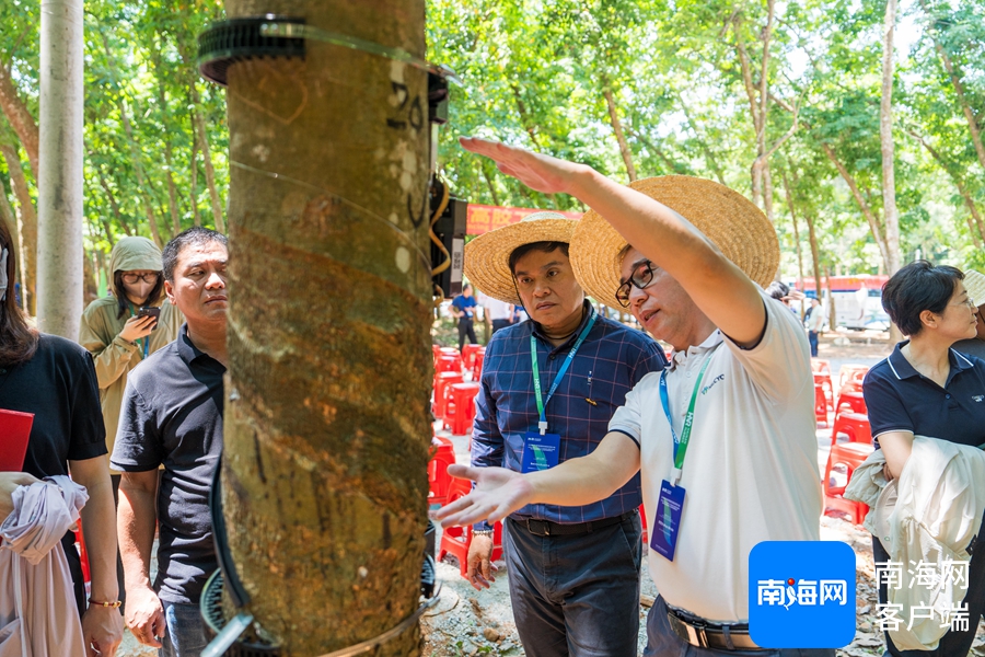 1745455924304090864.jpg 1745455924304090864.jpg