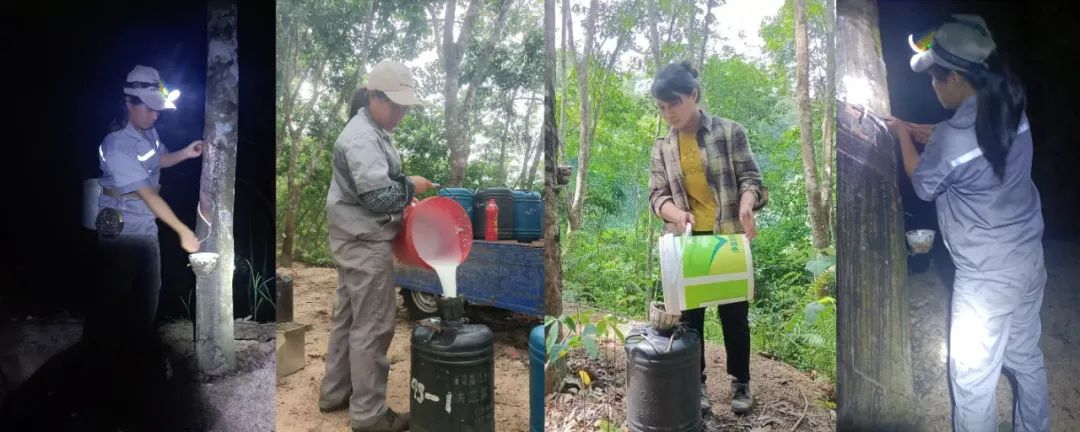 1747638187568087372.jpg 1747638187568087372.jpg