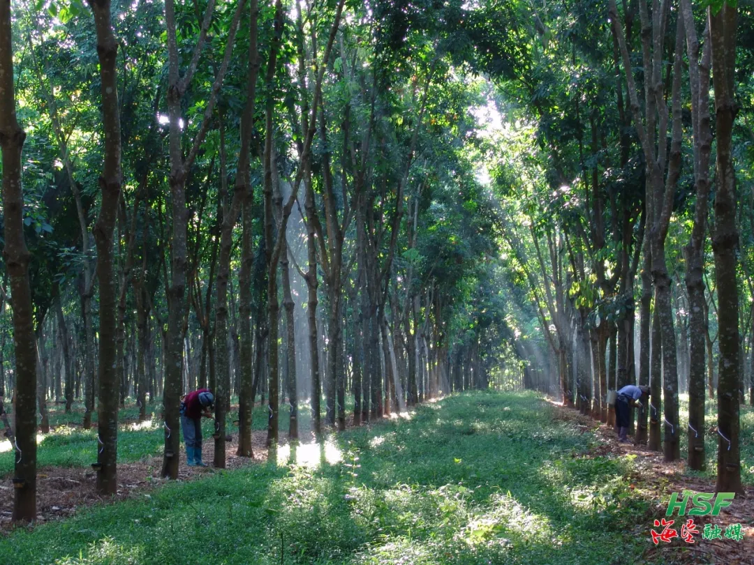 1748478438857049498.jpg 1748478438857049498.jpg