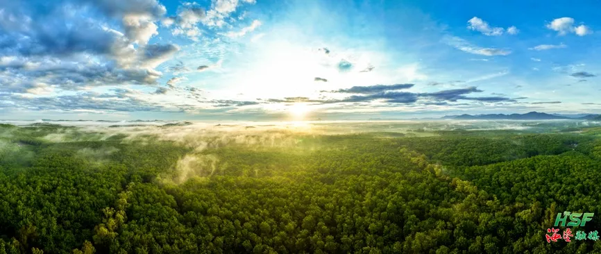 1755879693579031148.jpg 1755879693579031148.jpg